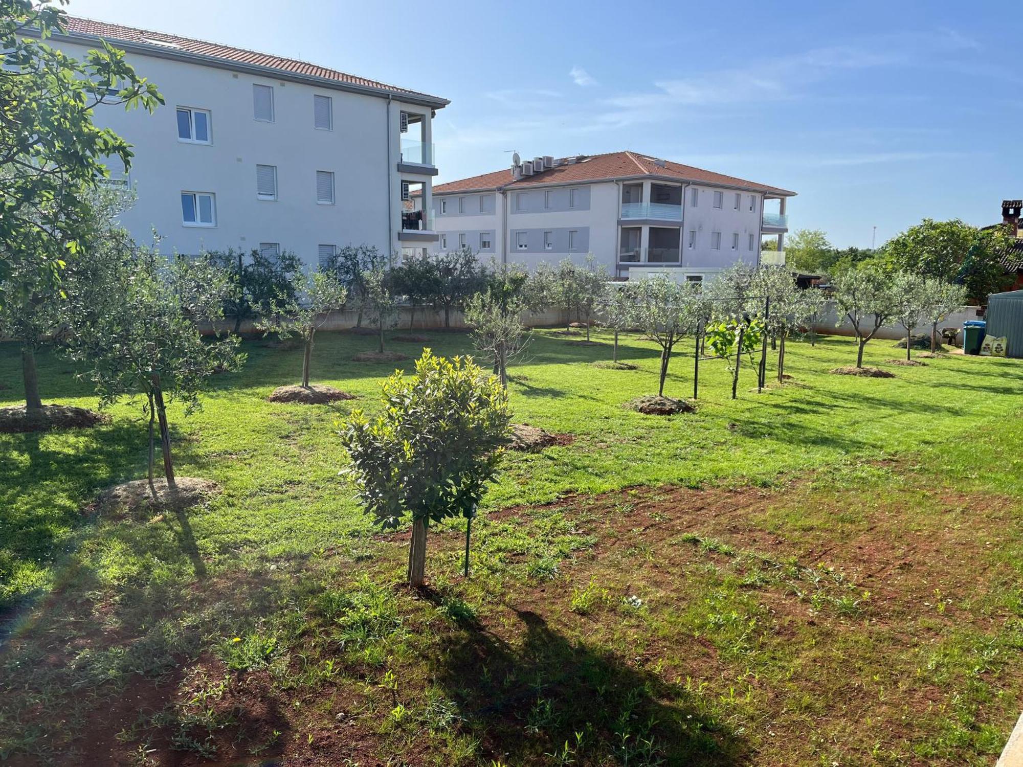 פורץ Apartments M&M Terzic מראה חיצוני תמונה